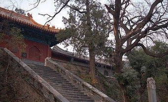 一个名不见经传的诗人,张九龄阅其诗稿竟一字难改?