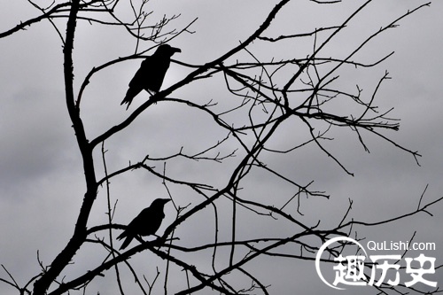 乌合之众的故事 成语乌合之众的意思是什么？