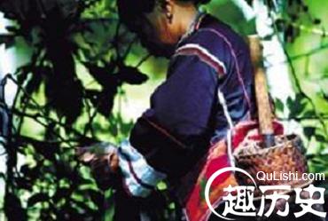 黎族巫医能治病吗？黎族巫医是怎样治病的