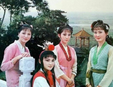 怎么评价《红楼梦》袭人的人品?袭人为什么名声这么好?