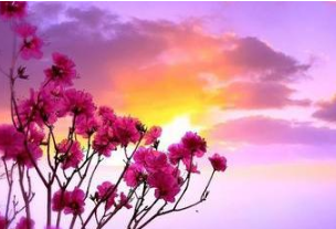 李清照为什么和苏轼不对付？李清照怼苏轼怼出这篇千古名作！