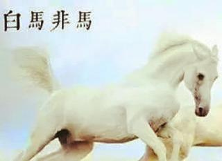 逻辑学家公孙龙提出的白马非马具体是什么问题?