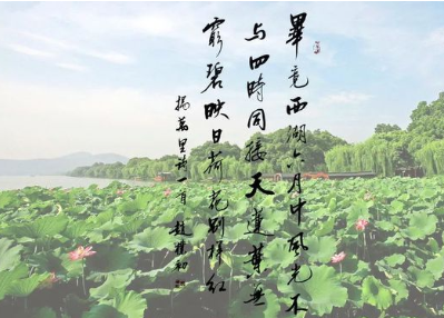 杨万里对文学史有什么贡献?他的诗歌有什么特点?