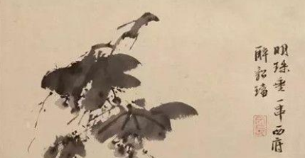 徐渭：以其独特的笔触，开创大写意花鸟画风之先河