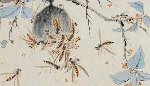 华岩画了一只不一样的老虎！一幅病态虎为何能成为传世名画？