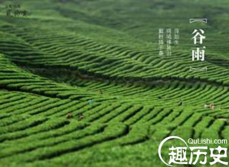 谷雨的谚语:关于谷雨的民间谚语大全